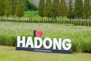 즐길 거리 한가득, 하동 북천 코스모스·메밀꽃 축제 10.2~19일 개최