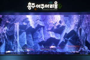충주아쿠아리움 개장… 내륙 수생태 명소로 새 출발