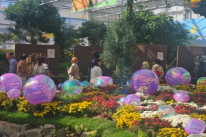 함평군, 나비와 함께 하는 가을 여행… 나비곤충생태관