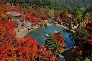 하동의 11월, 맛과 멋이 익어가는 가을의 피크 타임 