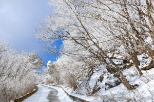 단양 소백산 주말 눈 예보, 순백의 장관 펼져진다. 