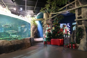 올해 크리스마스는 다누리아쿠아리움에서 특별하게!