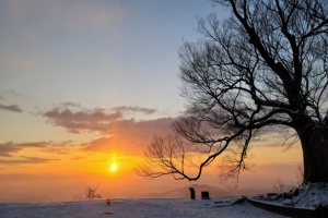 부여군, 2026년 병오년 성흥산 해맞이 행사 