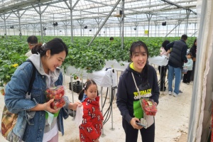 전남도, 1월 농촌체험휴양마을에 담양 물구십리 마을 선정