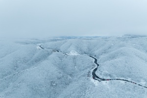 강릉시, 2월의 추천여행지, 고원설경의 '대관령 옛길' 선정 