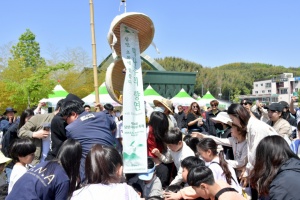 담양대나무축제, 문체부 ‘2026~2027년 명예 문화관광축제’ 선정