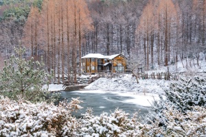 4계절 꽃 피는 온빛수목원 조성, 관광객 발길 잡는다 
