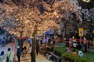 올해 봄 여행은 낮과 밤이 모두 매력적인 안동에서! 