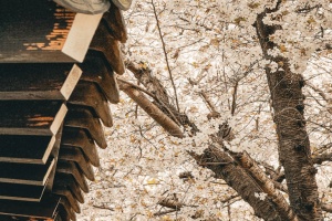 봄은 하동에서 시작해, 하동에서 완성된다
