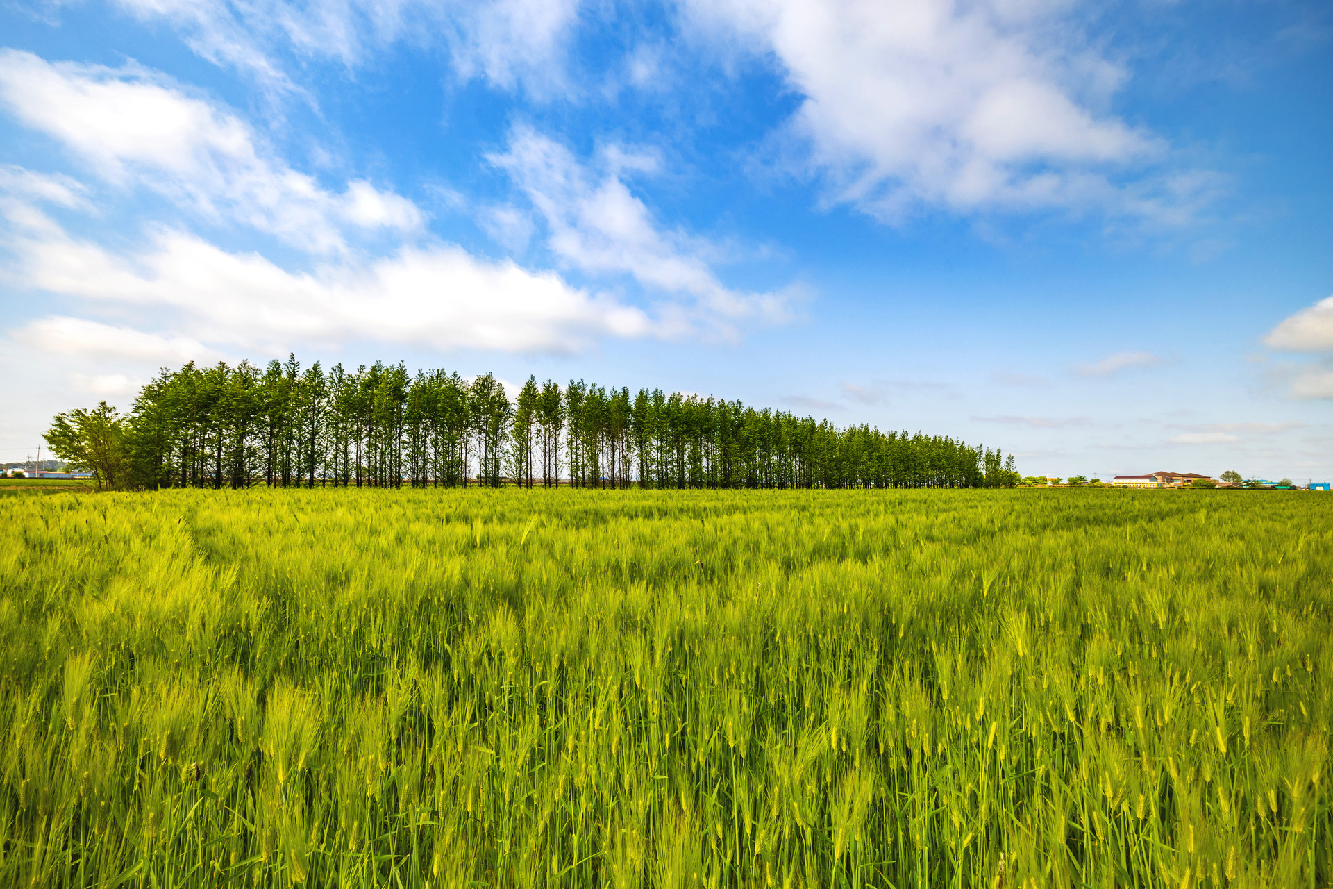 김제에 깃든 봄날의 즐거움, 4색 축제 여행 시작