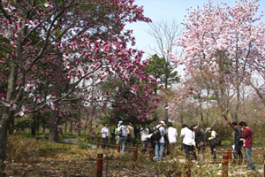 포항 기청산식물원, ‘꼭 가봐야 할 수목원 10선’ 3년 연속 선정 쾌거