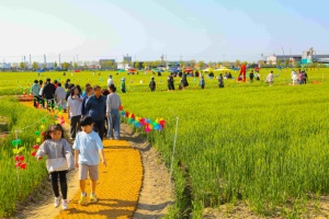 보리랑 봄이랑 21번째 이야기, 군산꽁당보리축제 24일 개막 