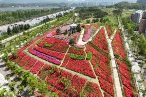 하남시, 다시 시작된 봄, 하남에서 만나는 핑크빛 로맨스] 