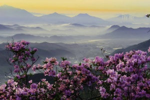광양시, 봄 정취 더해 '백운산국사봉철쭉축제’ 25~26일 개최