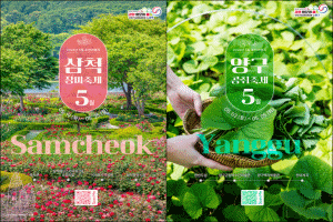 강원 5월 추천 여행지, 삼척 장미축제, 양구 곰취축제 선정 