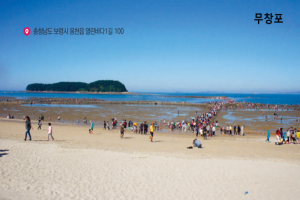 보령시, 해수욕과 산림욕을 함께...무창포해수욕장 개장