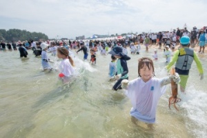 고성군, 오징어·가리비·피문어·조개까지... 축제 풍성