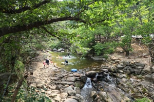 영동군, 안전하고 깨끗한 물한계곡… 막바지 여름 여행지로 인기