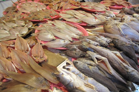 없는 게 없는 다양한 생선으로 가득한 삼천포용궁수산시장 
