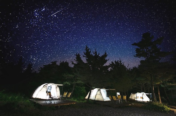 별빛이 흐르는 캠핑장