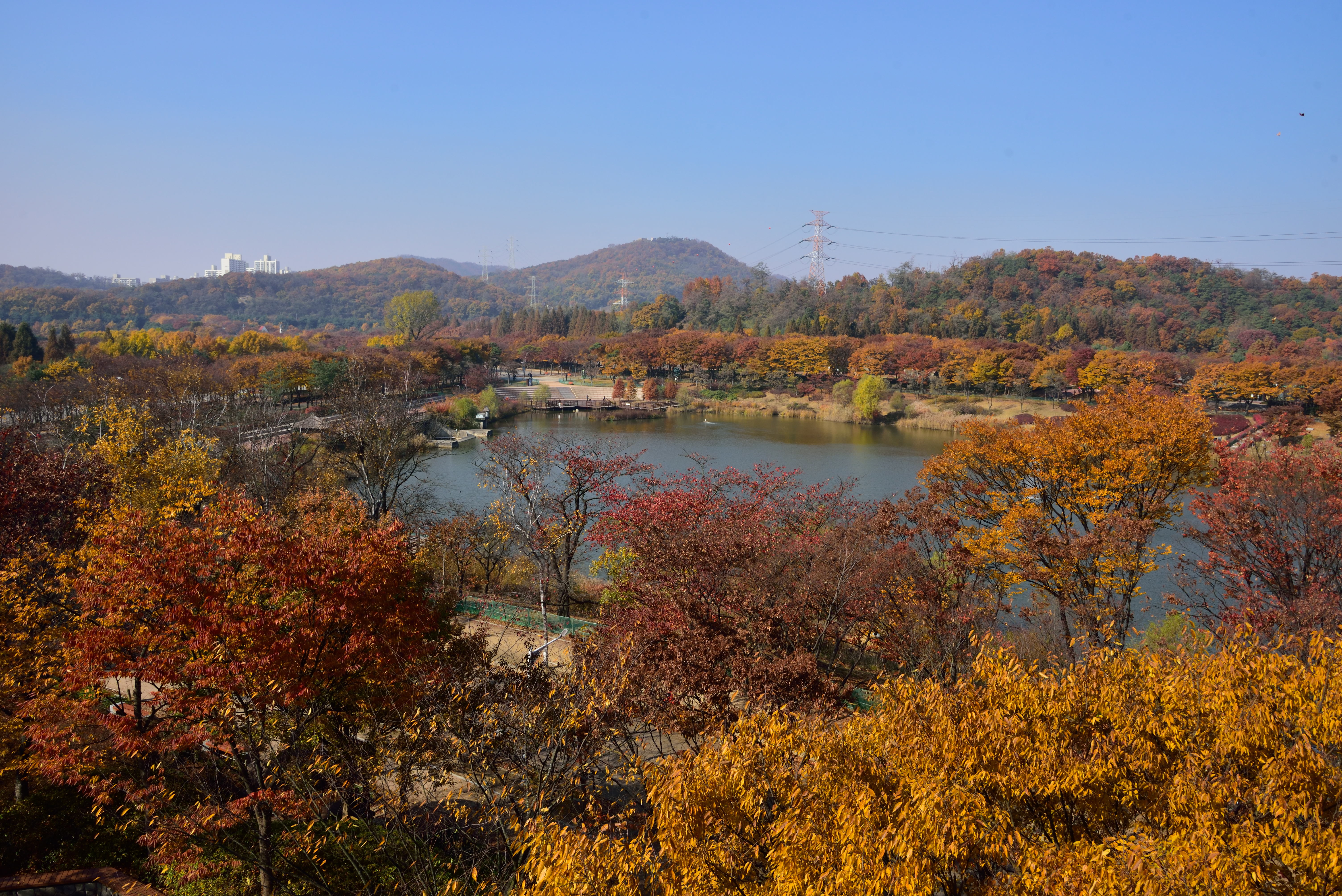 인천대공원 전경