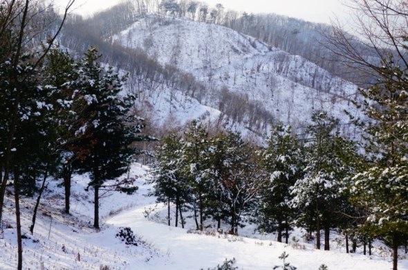 산길은 걷기 편한 길부터 산행을 제법 해야하는 길 등 코스가 다양하다.