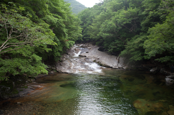 구천동계곡