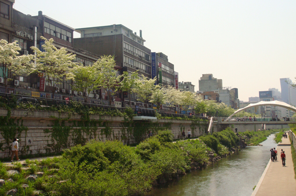 3. 산책과 운동하기 좋은 봄꽃길_청계천