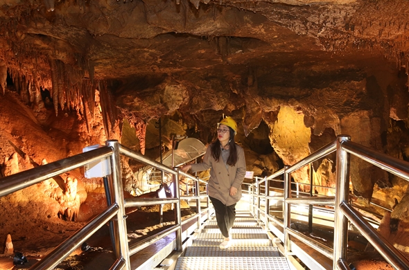천곡황금박쥐동굴 내부 탐험 모습