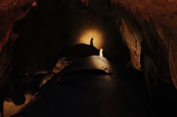천곡황금박쥐동굴 내부 모습