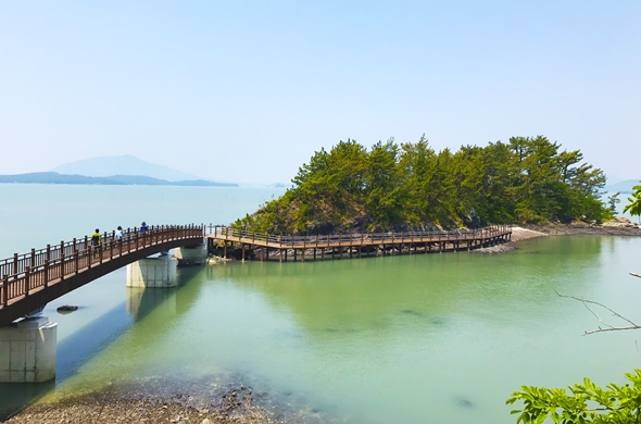 벌교읍 장도(섬)