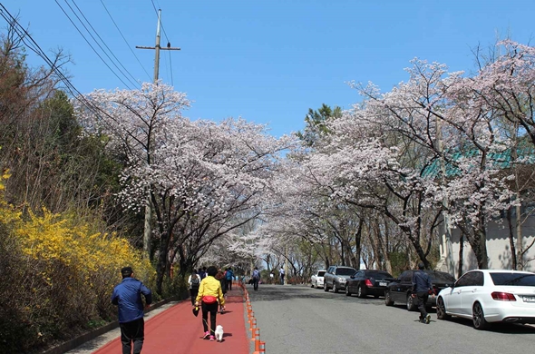 두류공원