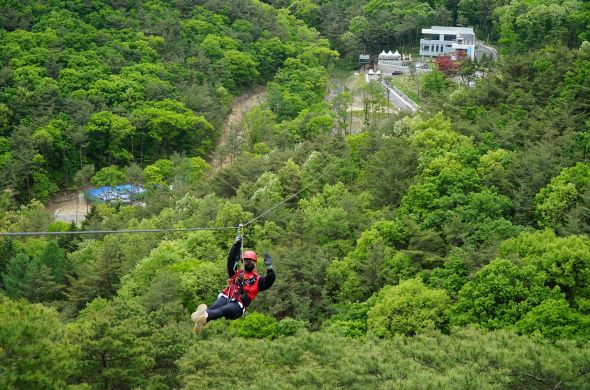 속리산 테마파크 짚라인