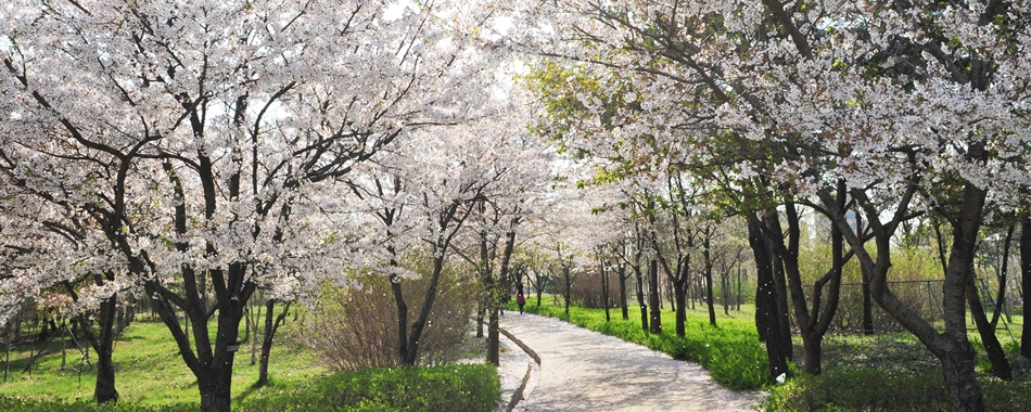 도심 속 한가운데의 오아시스, 한밭수목원