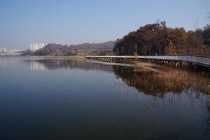 아름다운 풍경이 있는 여가활동 공간, 광교호수공원,국내여행,음식정보