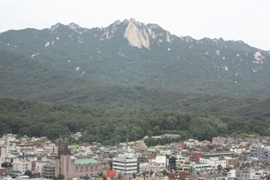 도봉산 계곡따라 능소화가 지천,국내여행,음식정보