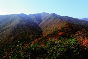 충남 제일의 명산, 계룡산,국내여행,음식정보