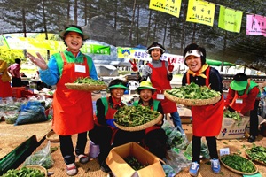 용문산 가득 퍼지는 향긋함, 양평산나물축제,경기도 양평군