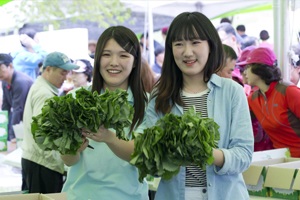 인제군의 봄을 찾아서, 미산계곡 고로쇠와 진동계곡 산나물,강원도 인제군