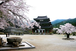 모악산으로 마실을 떠나다, ‘모악산 마실길’