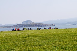 초록이 봄을 말하는 곳, 서귀포 가파도청보리축제,제주특별자치도 서귀포시