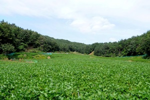 청산에 살어리랏다, 공주 농촌체험마을