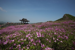 곱게 물든 산청 황매산 철쭉평전 가는 길