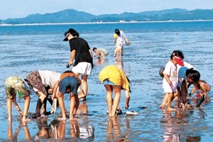 ‘신시도 섬마을’에서 삼시세끼를!