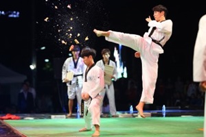 전 세계 무림고수들이 다 모였다! ‘2015 충주세계무술축제’,충청북도 충주시