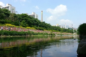 오랜 친구 같은 도심 속 쉼터, 우이천,국내여행,음식정보