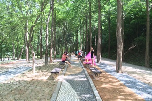 눈과 마음이 편안해지는 ‘상소동산림욕장’,대전광역시 동구