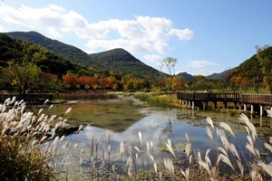 선(禪)을 만나러 가는 길, 선운산과 선운사