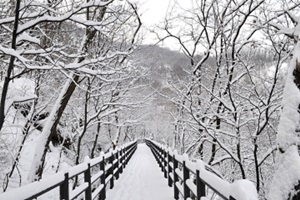 송이송이, 눈꽃송이 피어난 안산자락길에서 즐기는 트레킹,서울특별시 서대문구