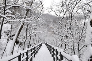 송이송이, 눈꽃송이 피어난 안산자락길에서 즐기는 트레킹